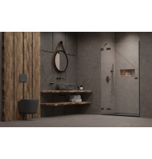 Дверь, Radaway, Essenza Pro DWJ, шв 1200*2000, петли-слева, GunMetal Brushed, цвет стекла-прозрачный, Easy Clean