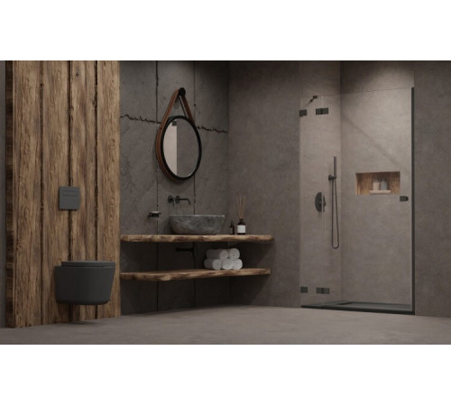 Дверь, Radaway, Essenza Pro DWJ, шв 1200*2000, петли-слева, GunMetal Brushed, цвет стекла-прозрачный, Easy Clean