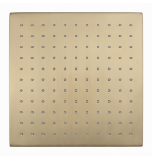 Верхний душ, Splendy, Feeling S, 300*300, цвет-золото матовое (брашированное)
