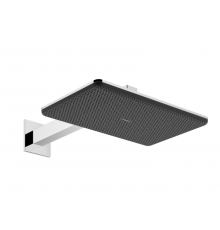 Верхний душ, Hansgrohe, Raindance Alive, 214*343, цвет-хром