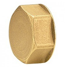 Пробка для коллектора R586, Giacomini, R594, 1