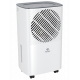 RD-CR10-E Осушитель воздуха ROYAL Clima