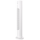 RBF-801E-WT Вентилятор бытовой колонный ROYAL CLIMA